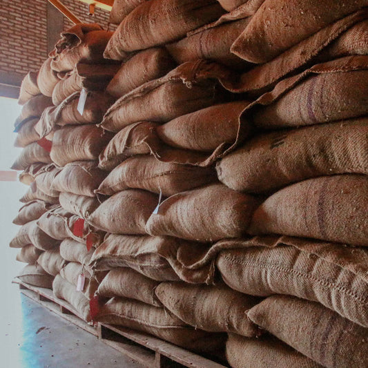 *Reserve List* Burundi, Yagikawa Cooperative