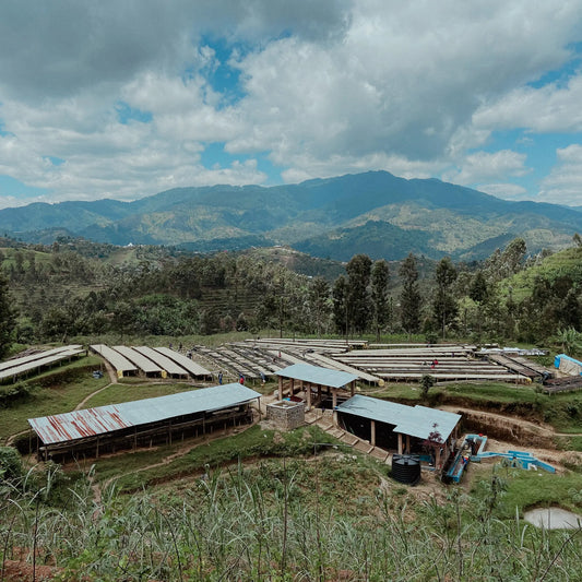 Rwanda, Abadatezuka Cooperative