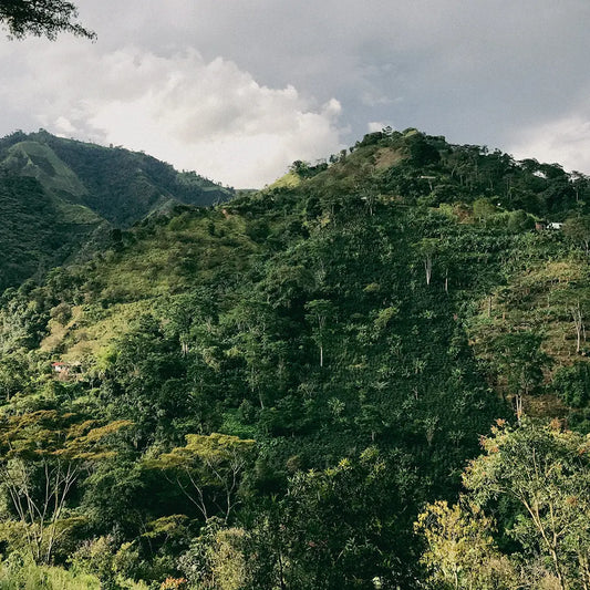 Colombia, Planadas