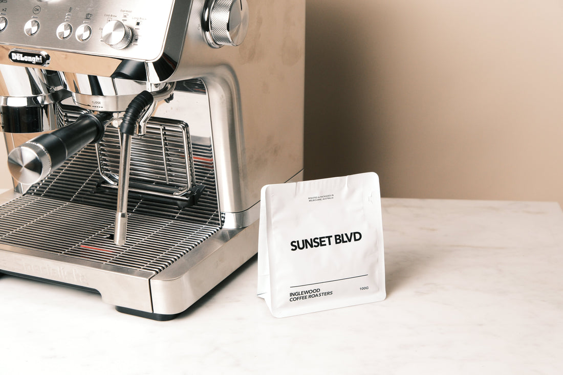 What are the Best Coffee Beans for Beginners?