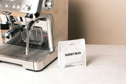 What are the Best Coffee Beans for Beginners?