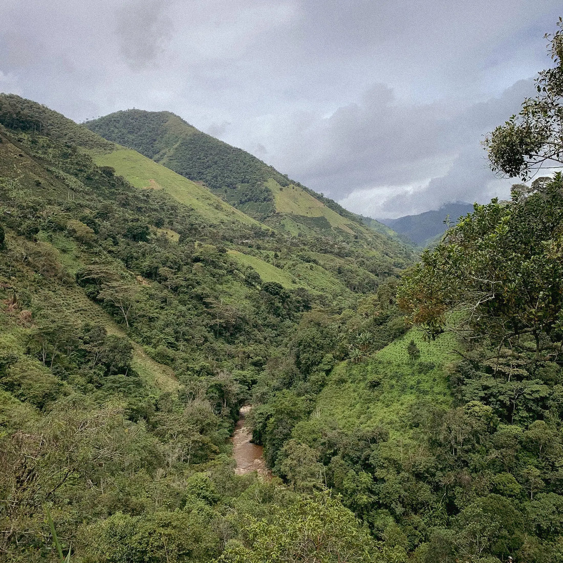 Colombia, Volcano – Inglewood Coffee