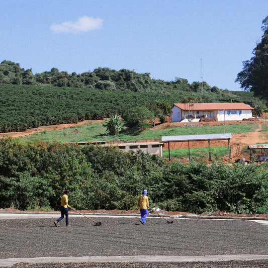Reserve List - Brazil, Fazenda Do Cruzeiro