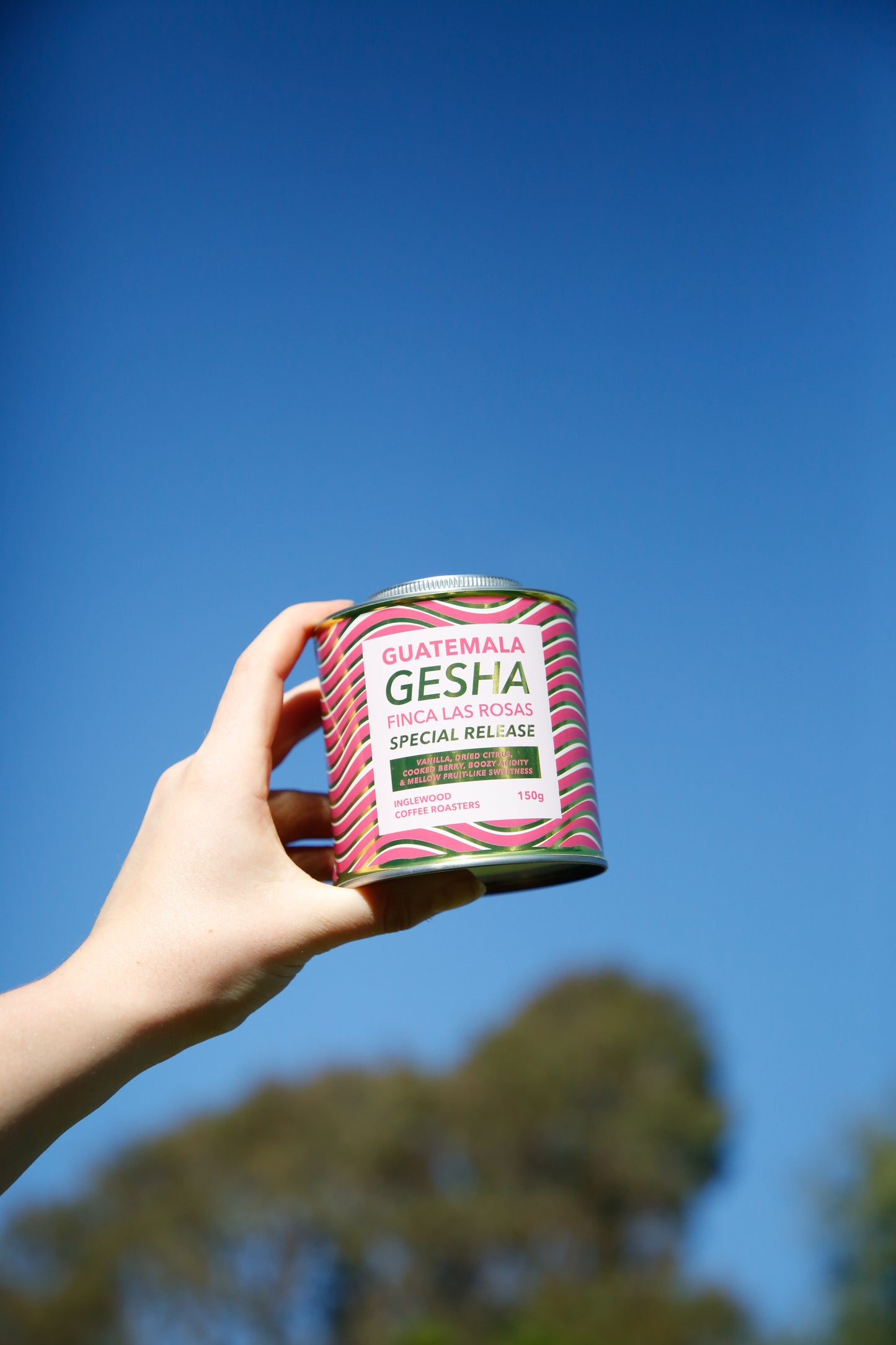 *Special Release* Guatemala, Finca Las Rosas Gesha - Espresso Roast