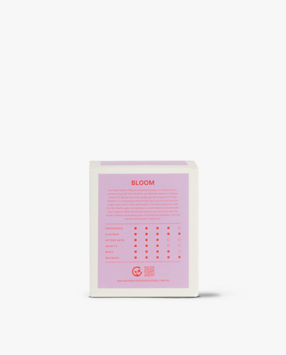 Bloom Drip Bags – 10 Pack